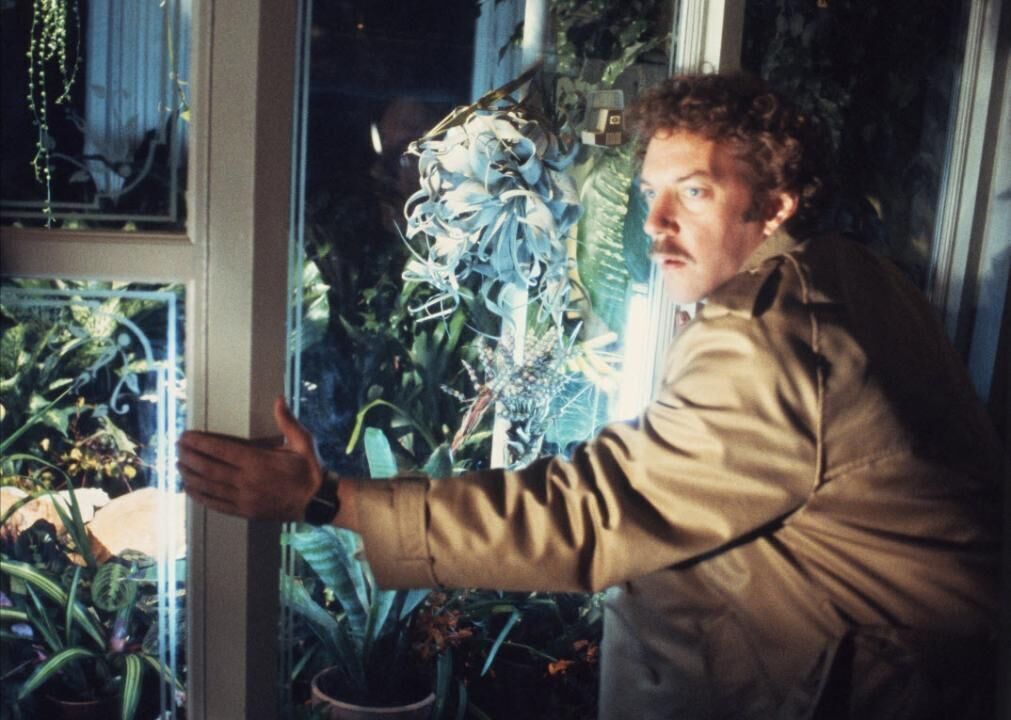 Invasion of the Body Snatchers (1978)